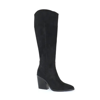 Black knee-high boot on a white background