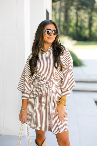 Simply Striped Brown Dress