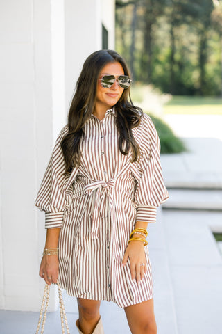 Simply Striped Brown Dress