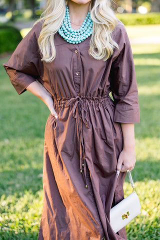 Just So Happens Brown Tie Dress