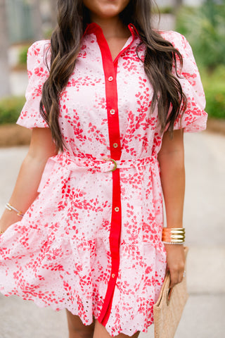 Rosette Garden Eyelet Mini Dress