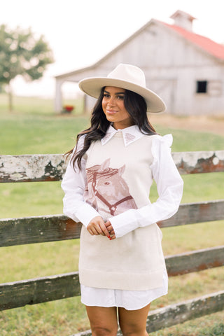 Wild Spirit Sweater Dress