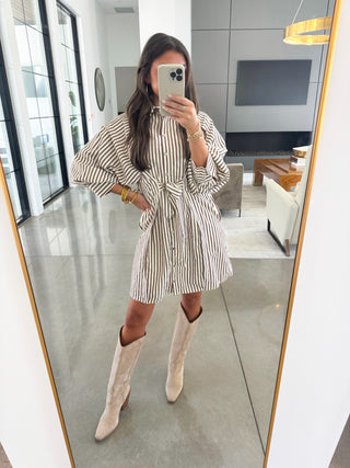 Simply Striped Brown Dress
