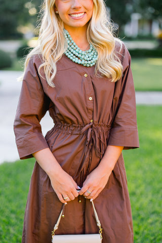 Just So Happens Brown Tie Dress